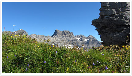 braunwald-glraernisch